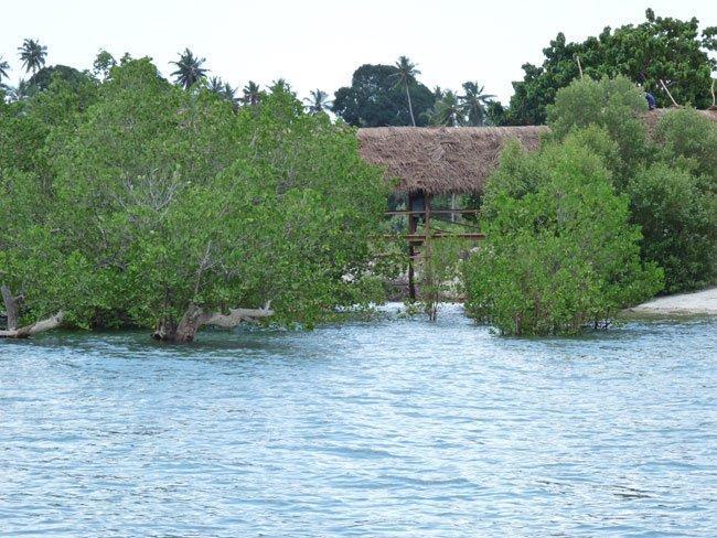 Pemba Misali Sunset Beach Wesha Eksteriør bilde